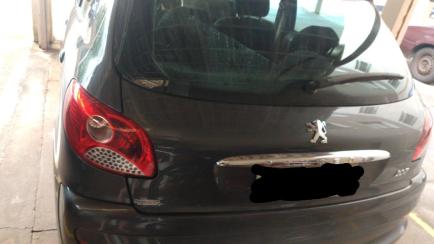 Peugeot 207 Hatch XR 1.4 8V (flex) 4p